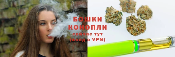 эйфоретик Дмитриев