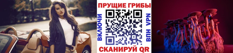 Галлюциногенные грибы MAGIC MUSHROOMS  Красноармейск 